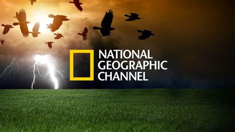 nat geo chanel|Nat Geo channel programs.